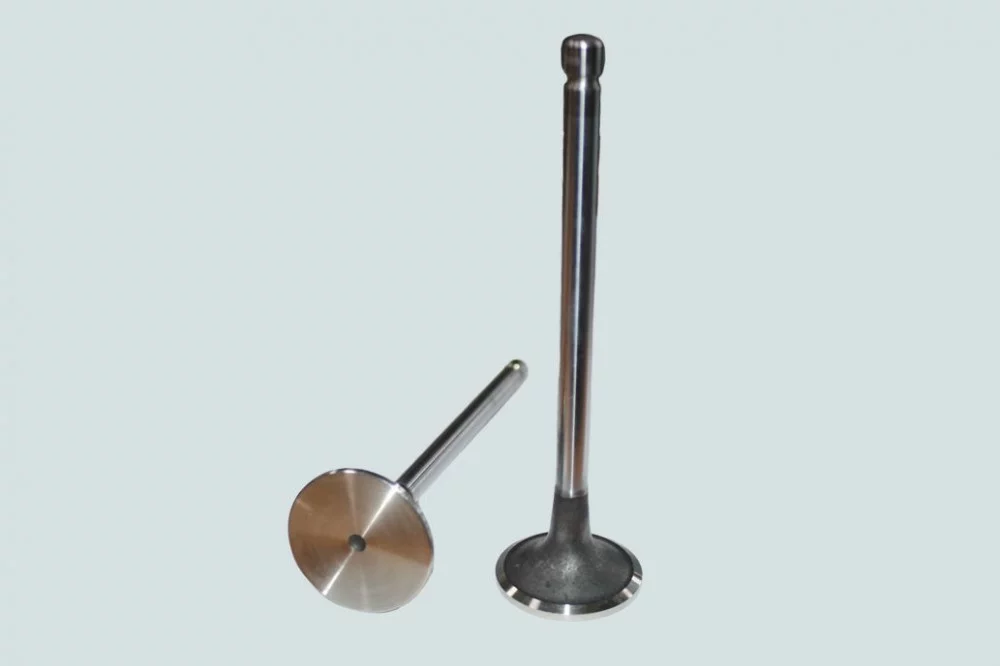 фото клапан впускной (isle, l) dvmark 3970727 40897615307875 4981794 3942588 